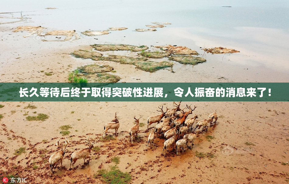 长久等待后终于取得突破性进展，令人振奋的消息来了！