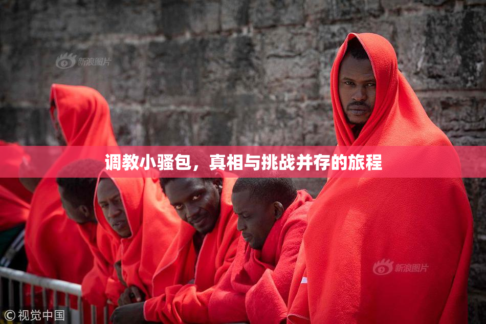 调教小骚包，真相与挑战并存的旅程