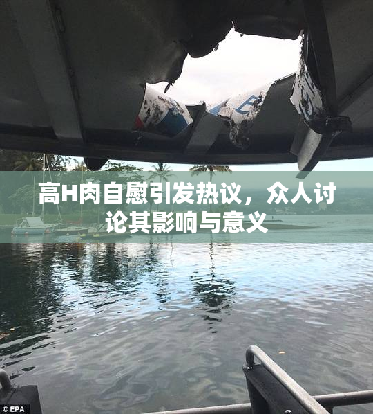 高H肉自慰引发热议，众人讨论其影响与意义