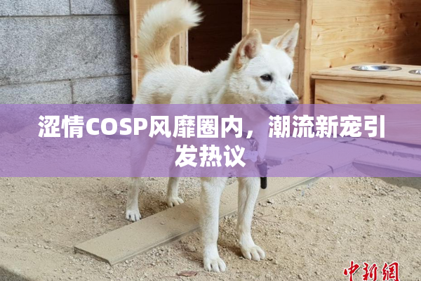 涩情COSP风靡圈内，潮流新宠引发热议