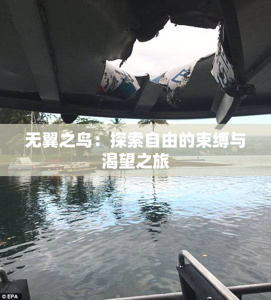 无翼之鸟：探索自由的束缚与渴望之旅
