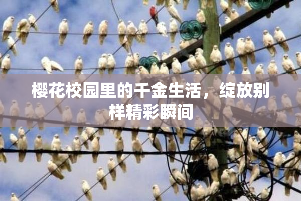樱花校园里的千金生活，绽放别样精彩瞬间