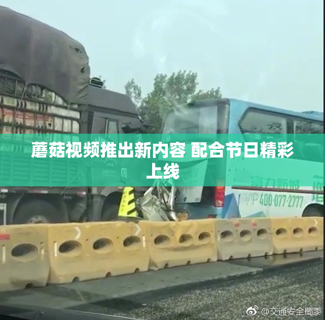 蘑菇视频推出新内容 配合节日精彩上线