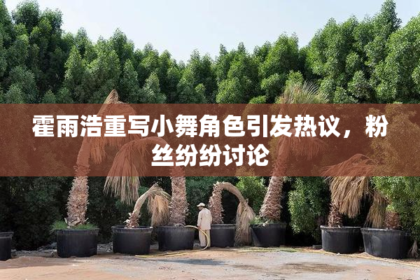 霍雨浩重写小舞角色引发热议，粉丝纷纷讨论
