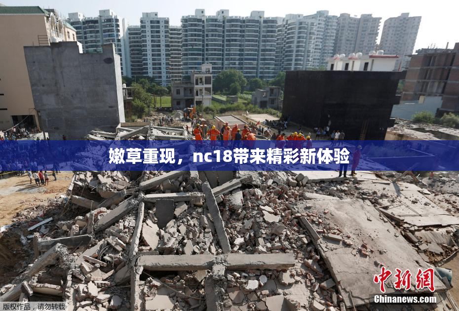 嫩草重现，nc18带来精彩新体验