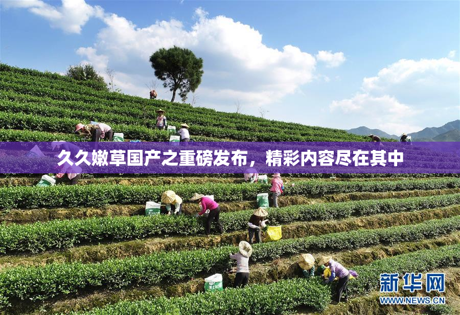 久久嫩草国产之重磅发布，精彩内容尽在其中