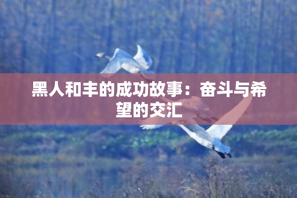 黑人和丰的成功故事：奋斗与希望的交汇