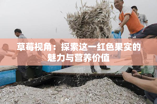草莓视角：探索这一红色果实的魅力与营养价值