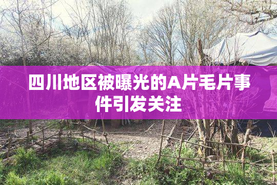 四川地区被曝光的A片毛片事件引发关注