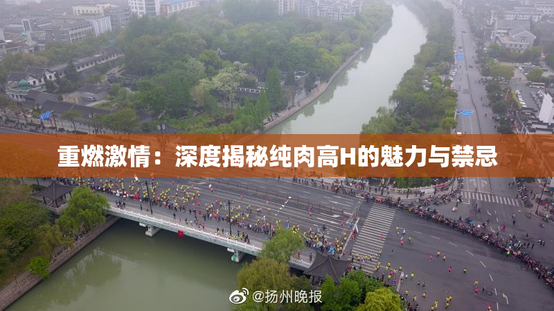 重燃激情：深度揭秘纯肉高H的魅力与禁忌