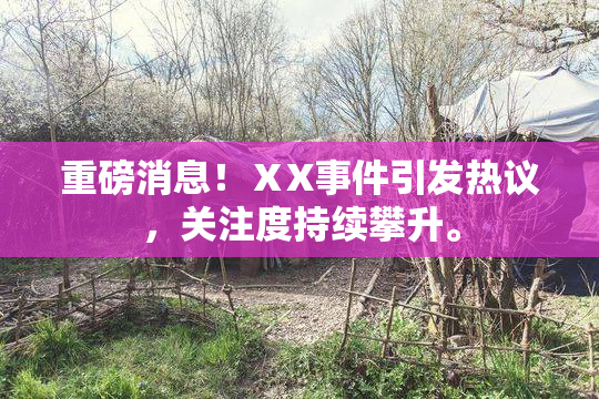 重磅消息！ⅩX事件引发热议，关注度持续攀升。