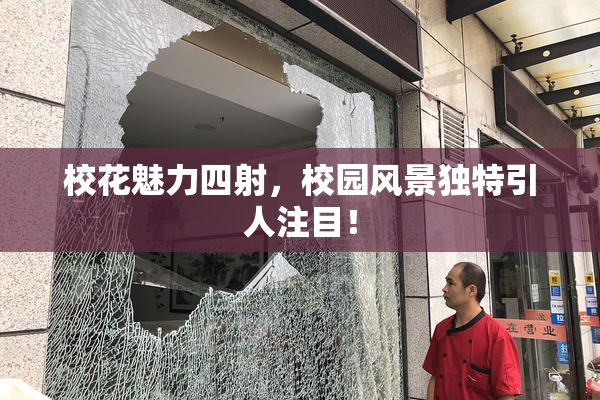 校花魅力四射，校园风景独特引人注目！