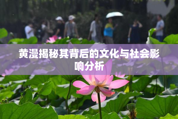 黄漫揭秘其背后的文化与社会影响分析