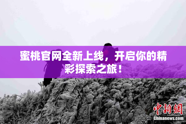 蜜桃官网全新上线，开启你的精彩探索之旅！