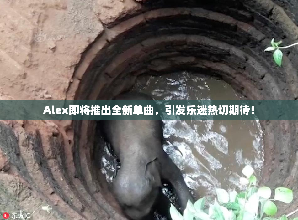 Alex即将推出全新单曲，引发乐迷热切期待！