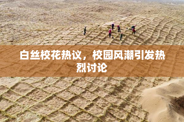 白丝校花热议，校园风潮引发热烈讨论