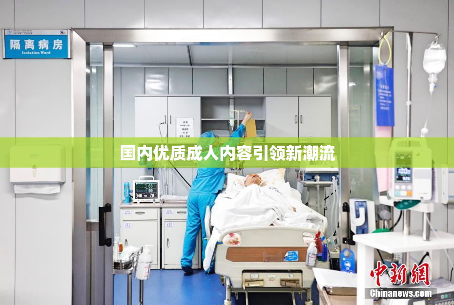 国内优质成人内容引领新潮流