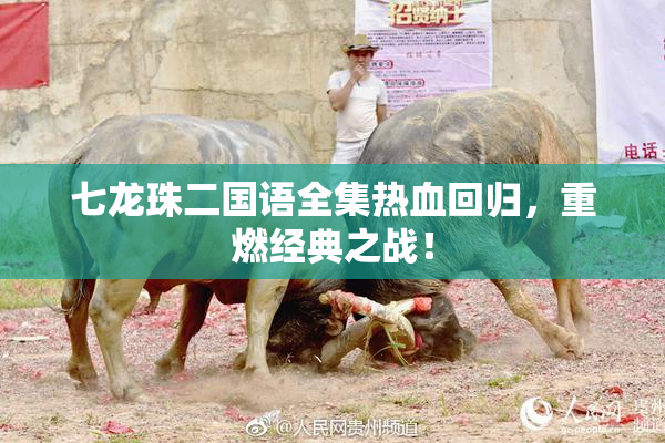 七龙珠二国语全集热血回归，重燃经典之战！