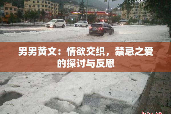 男男黄文：情欲交织，禁忌之爱的探讨与反思