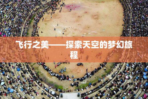 飞行之美——探索天空的梦幻旅程