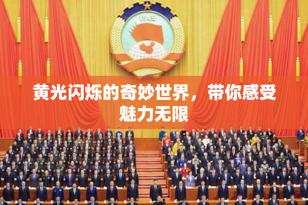 黄光闪烁的奇妙世界，带你感受魅力无限