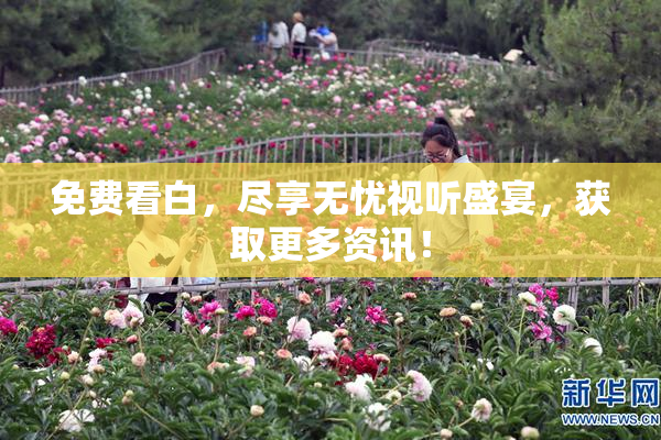 免费看白，尽享无忧视听盛宴，获取更多资讯！
