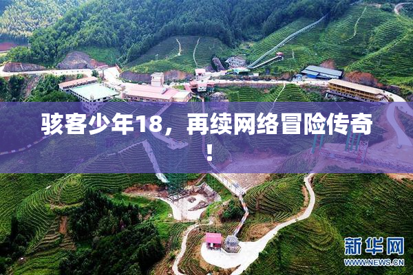 骇客少年18，再续网络冒险传奇！
