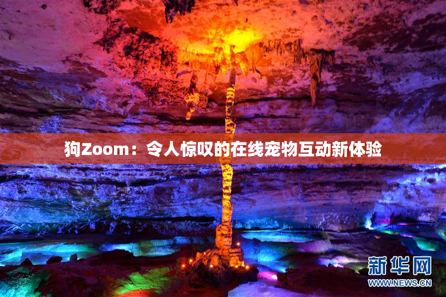 狗Zoom：令人惊叹的在线宠物互动新体验
