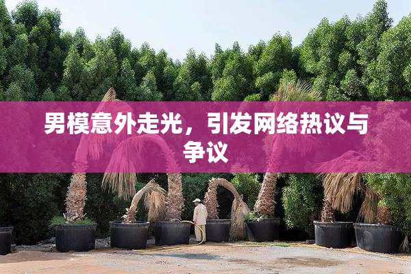 男模意外走光，引发网络热议与争议