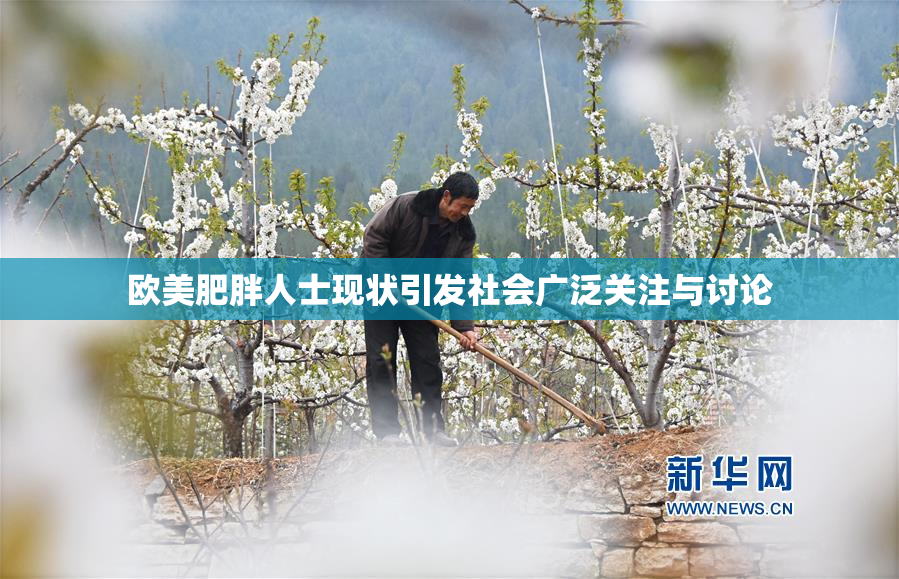 欧美肥胖人士现状引发社会广泛关注与讨论
