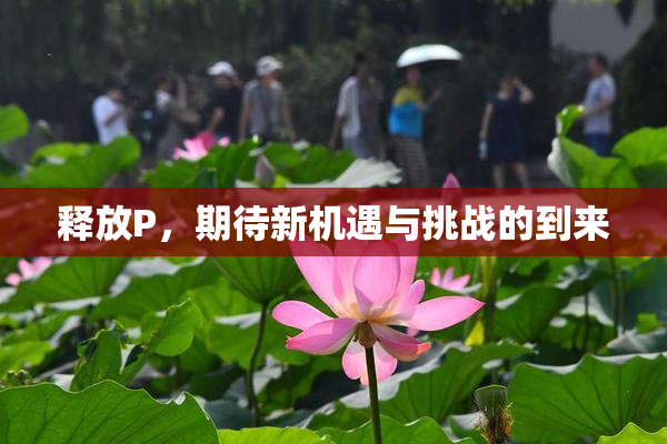 释放P，期待新机遇与挑战的到来