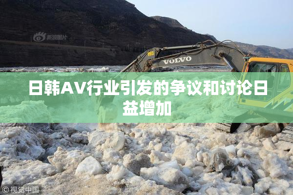日韩AV行业引发的争议和讨论日益增加