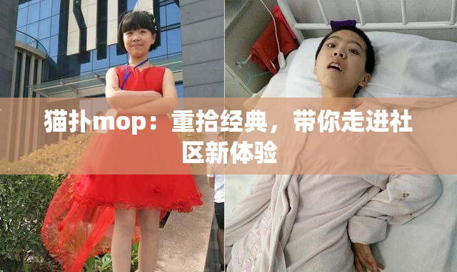 猫扑mop：重拾经典，带你走进社区新体验