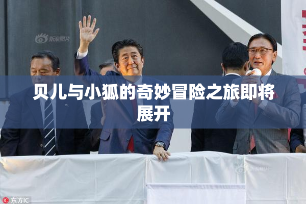 贝儿与小狐的奇妙冒险之旅即将展开
