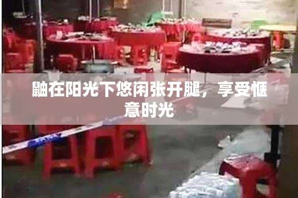 鼬在阳光下悠闲张开腿，享受惬意时光