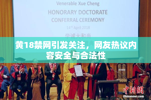 黄18禁网引发关注，网友热议内容安全与合法性