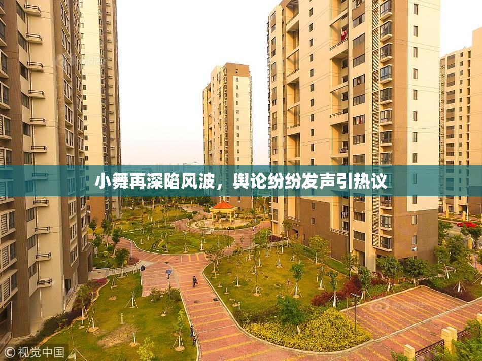 小舞再深陷风波，舆论纷纷发声引热议