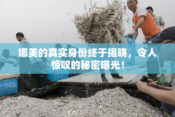 娜美的真实身份终于揭晓，令人惊叹的秘密曝光！