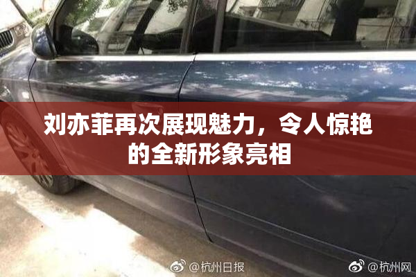 刘亦菲再次展现魅力，令人惊艳的全新形象亮相