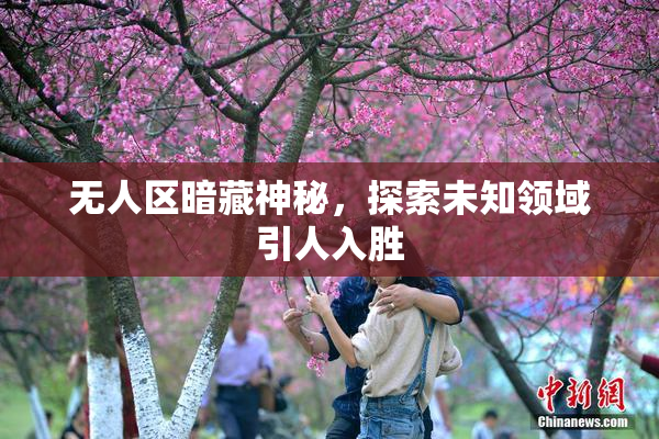 无人区暗藏神秘，探索未知领域引人入胜