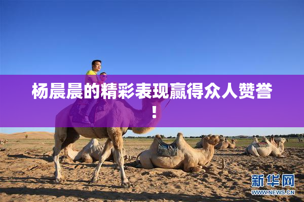 杨晨晨的精彩表现赢得众人赞誉！