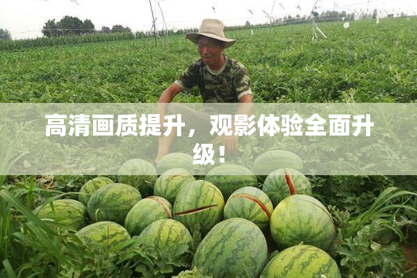 高清画质提升，观影体验全面升级！