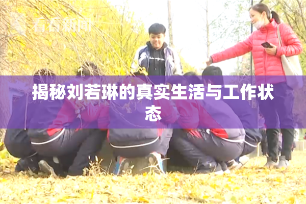 揭秘刘若琳的真实生活与工作状态