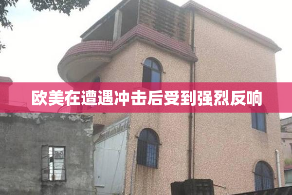 欧美在遭遇冲击后受到强烈反响