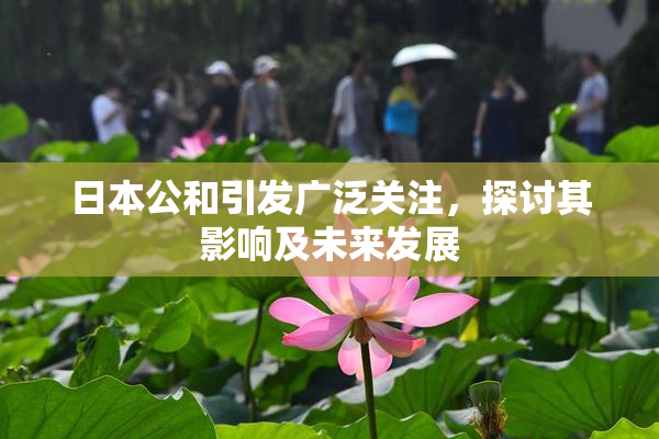 日本公和引发广泛关注，探讨其影响及未来发展