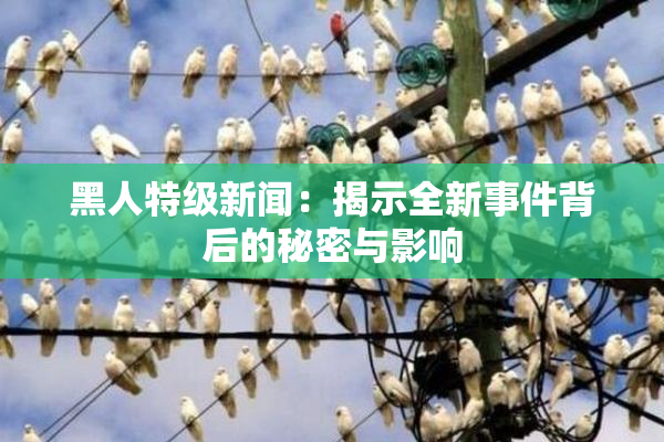 黑人特级新闻：揭示全新事件背后的秘密与影响