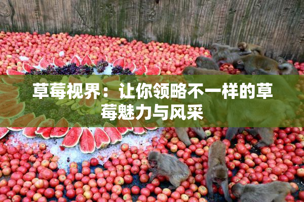 草莓视界：让你领略不一样的草莓魅力与风采