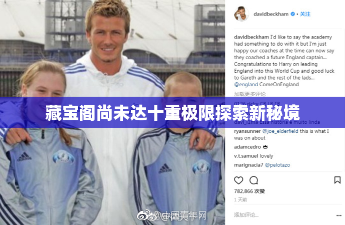 藏宝阁尚未达十重极限探索新秘境