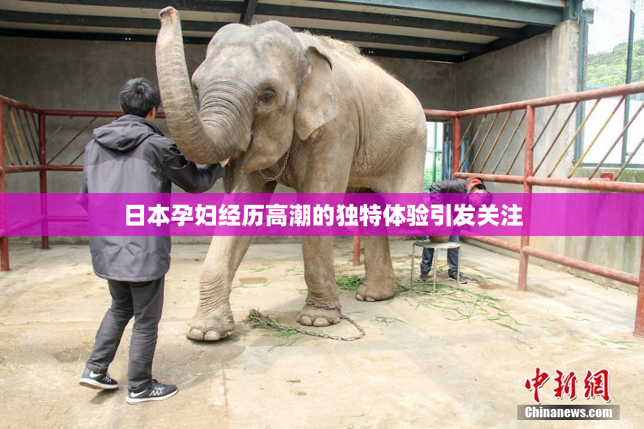 日本孕妇经历高潮的独特体验引发关注