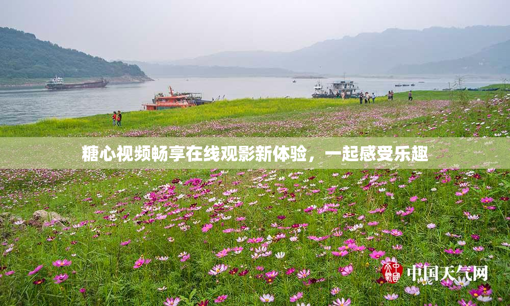 糖心视频畅享在线观影新体验，一起感受乐趣